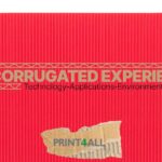 CORRUGATED EXPERIENCE A PRINT4ALL 2025